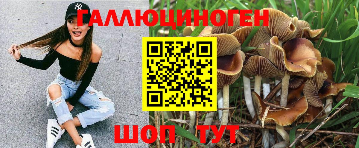 Кушва  Псилоцибиновые грибы мицелий  Вход с VPN 