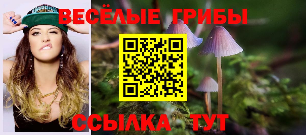 Псилоцибиновые грибы прущие грибы Кушва