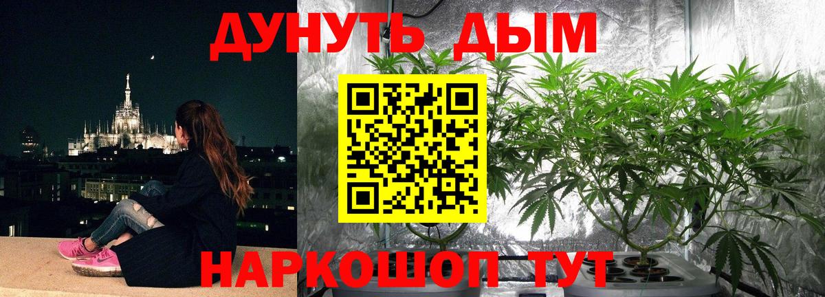 Марихуана THC 21%  Вход с VPN  Бошки марихуана планчик  Кушва 
